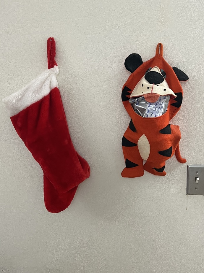 Are your HOLIDAY DECORATIONS still up?