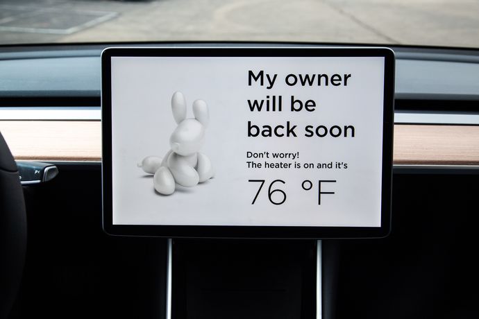 Tesla's "Pet Mode" screen