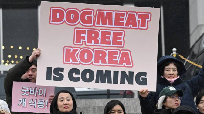 No more DOG MEAT?