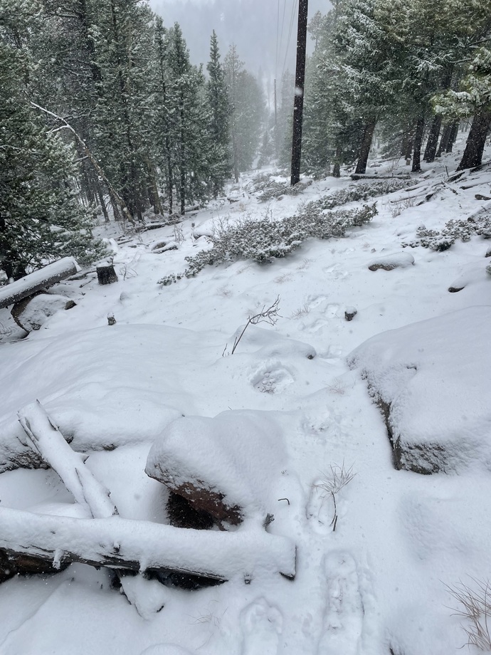 Who Out There Got Hit with a Snowstorm?