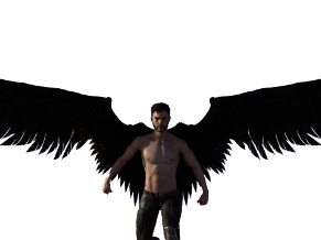 If you could fly, would you prefer to do it like Superman, or would you like the added wings?