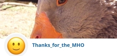 @thanks_for_the_mho 