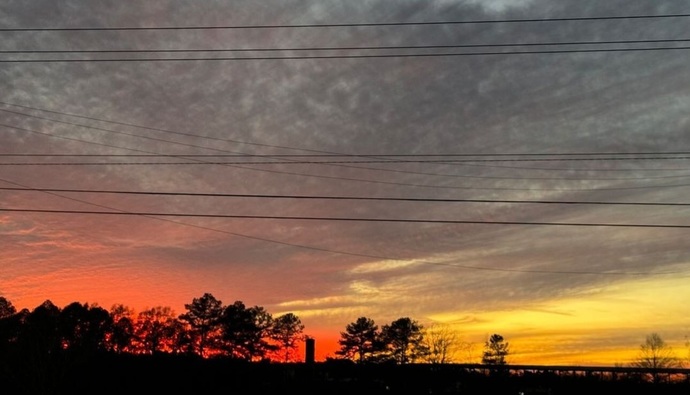 What was the last you saw, that was so beautiful, you had to take a pic of it?