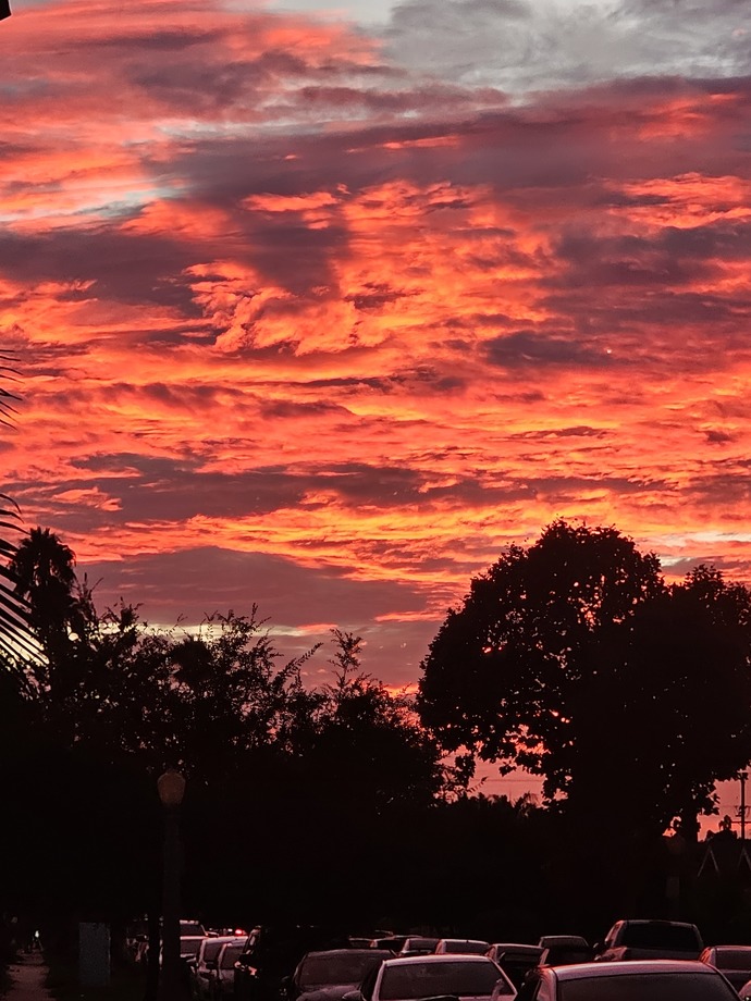 This sunset 📸