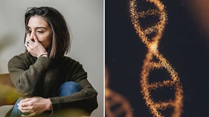 Would you ever do a DNA test?