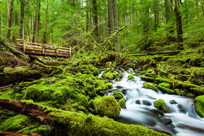 Which of these two landscapes is more beautiful ?