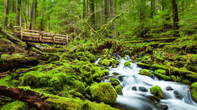 Which of these two landscapes is more beautiful?