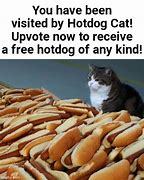 Hot take: are hot dogs considered a sandwich?