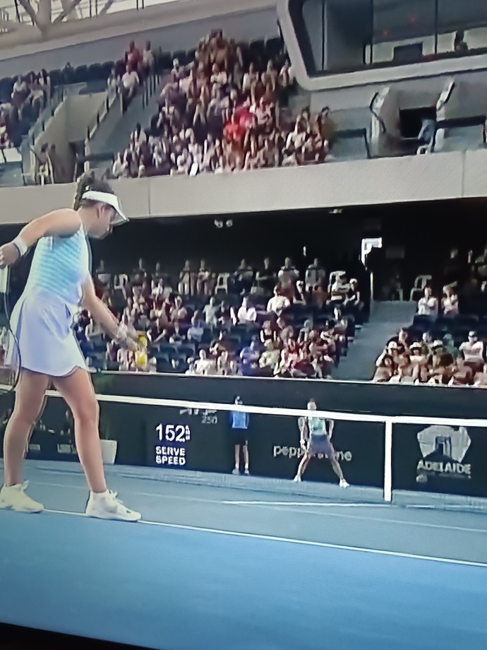 Do you think this tennis champion is a little chunky?