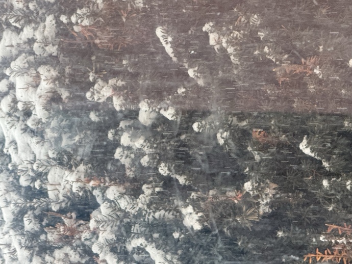 Snow ❄️ Do you like it or not?