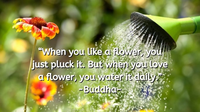 GAG CONTEST: What Does Love Mean To You?