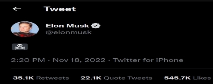 One of my best GAG buddies said that Elon is a right-wing racist. Is he?