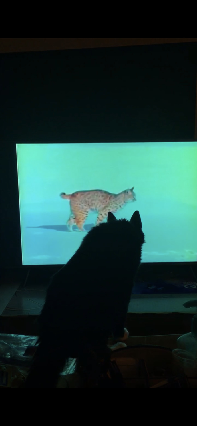 He was 19 here…. his whole life, I NEVER saw him react to the TV. This was the first night I unpacked it😂