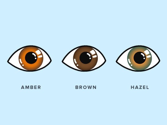 Are my eyes amber color?