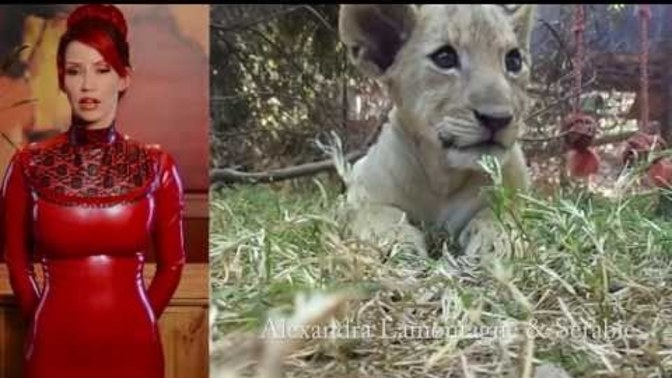 Do you support canned hunting claiming it reduces illegal poaching?