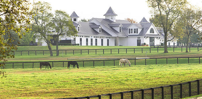 If you are a millionaire with lots of money to spare, would you rather live in a mansion or standard house and why?