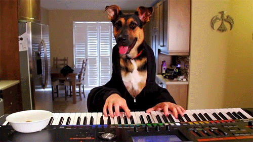 What is your Talent?
