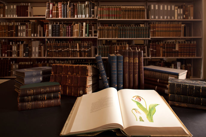 Do you use a virtual library?