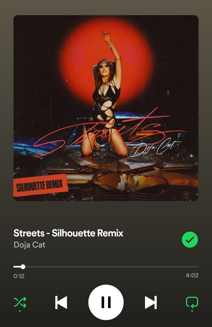 What’s your favorite Doja Cat song?