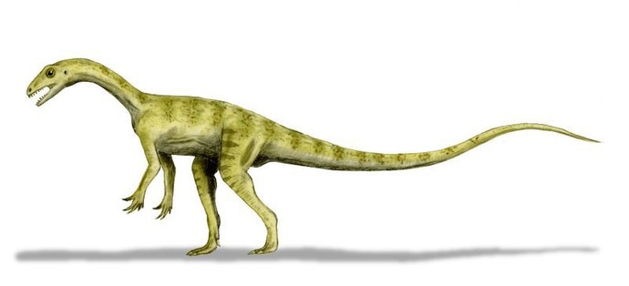 Do You Prefer Dinosaurs or Dragons?