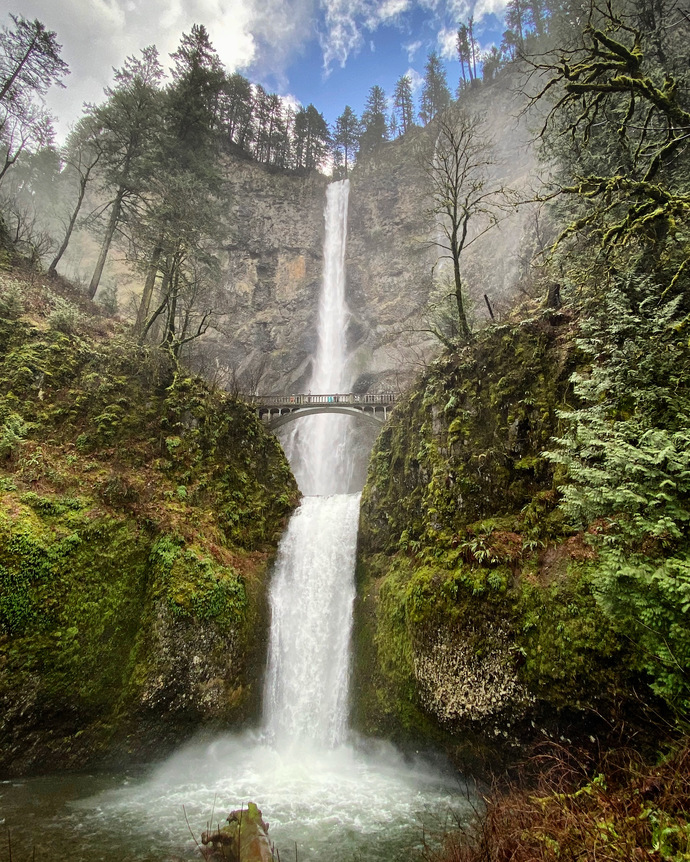 In your opinion, which of these landscapes is more pretty ?