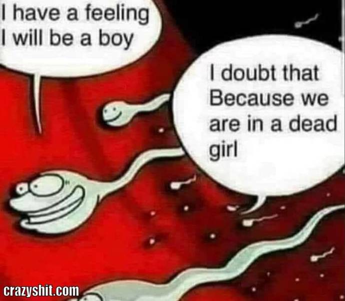 How many times should a male hang out with a female before inviting her home?