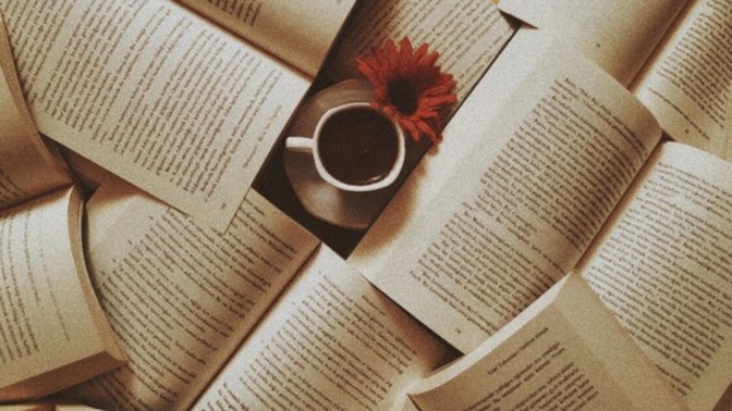 Among my reader followers, do you read novels?