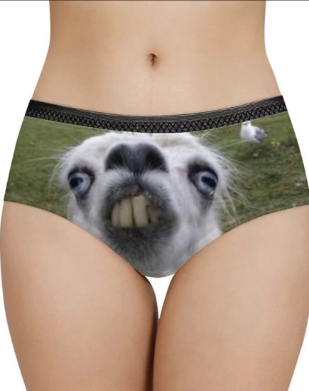 Are you wearing clean underwear?