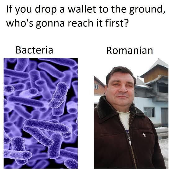 Everyone, I m curious , what do you think about Romania? Or what have you heard?