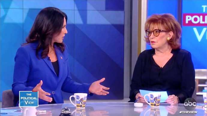 VIEWER DISCRETION IS ADVISED: What do you think about this intellectual beatdown Tulsi administered to Joy? - GirlsAskGuys