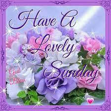 Whats On Your Agenda for Today, A Gorgeous Sunday Day?