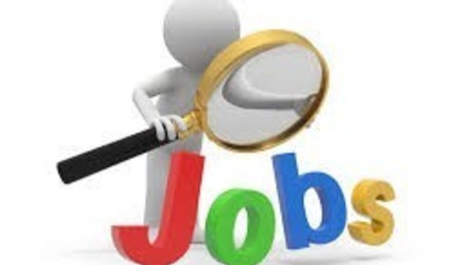 Whats your dream job?