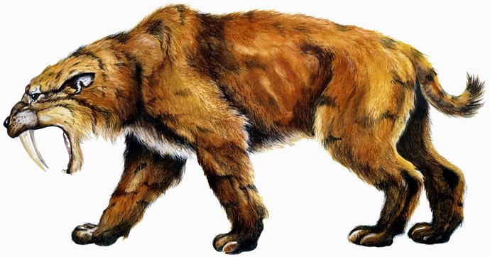 Do you think is some distant future a dinosaur may be cloned using fossil DNA?