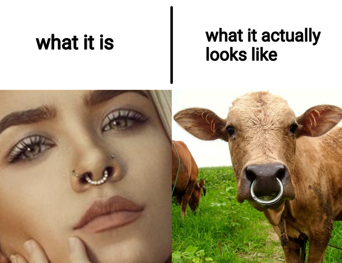 Should I get a nose piercing?
