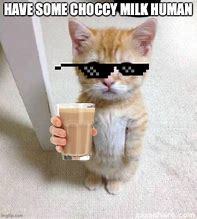Do you like chocolate milk?