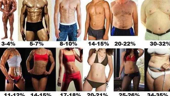 What type of body shape do you have. ?