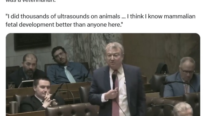 Are Republicans calling all women Bovines or insinuating they are bovies?