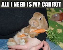 Do you like carrots?
