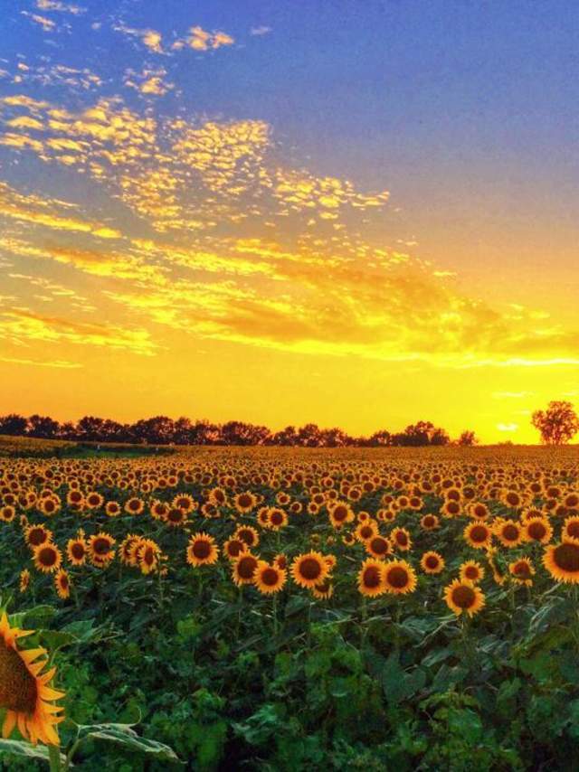 Where are the most romantic places on earth?