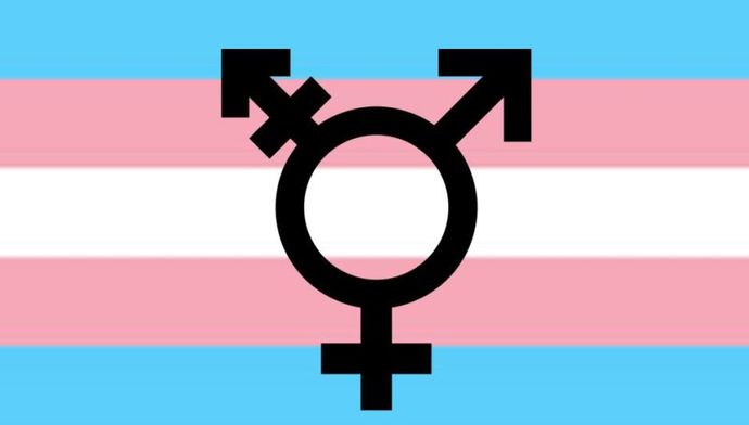 Who wants to turn into a ladyboy?