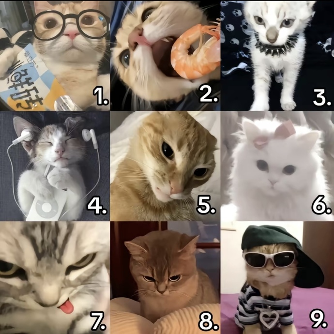Which kitty are you today?