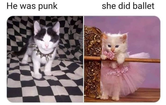 SK8ER BOI