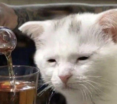 🤍 how often do you get drunk 🥃?