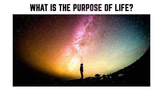 What is the purpose of life?