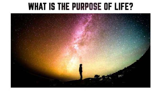 What is the purpose of life?