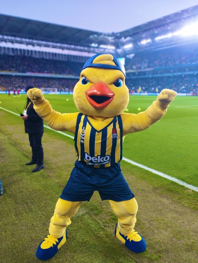 Which team do you support? Do you like your teams mascot?
