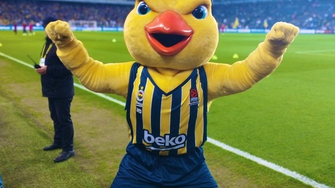 Which team do you support? Do you like your team's mascot?
