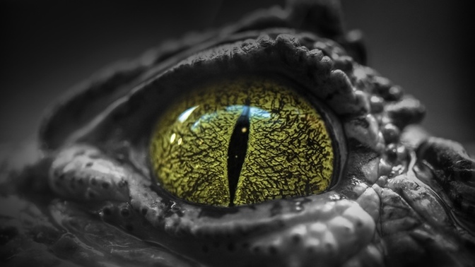 If humanoid aliens exist, do you agree that their consciousness would remain primitive?