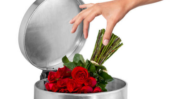 Are you anti-Valentine's Day? Why or why not?
