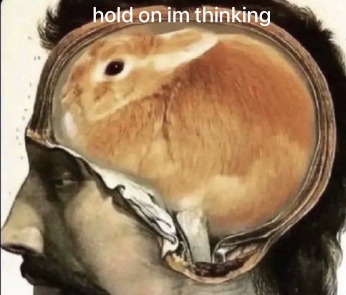 Memes that define you?